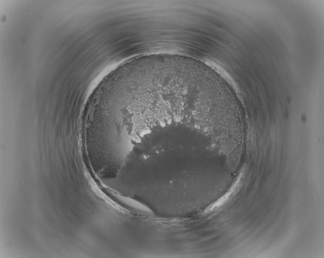 X0000066080941200603241428