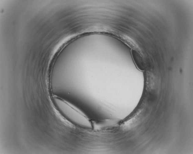 X0000066080942200603241428