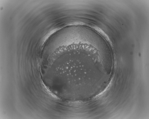 X0000066080945200603241428