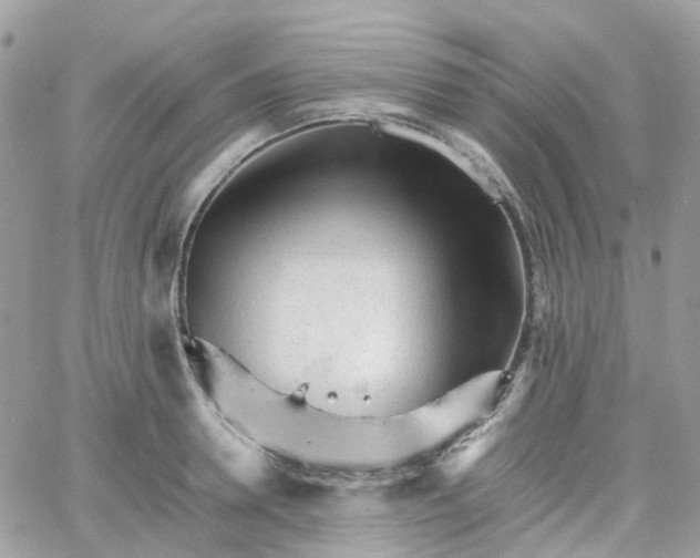 X0000066080946200603241428