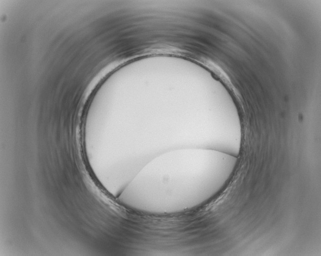 X0000066080947200603241428