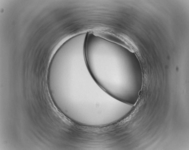 X0000066080948200603241428