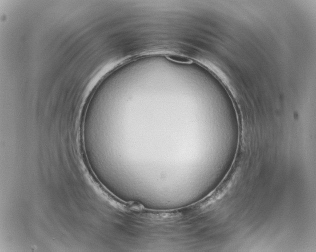 X0000066080949200603241428