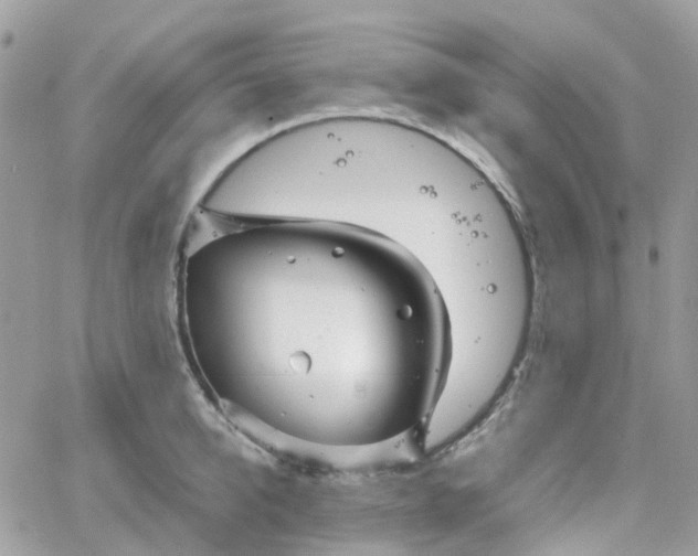 X0000066080950200603241428