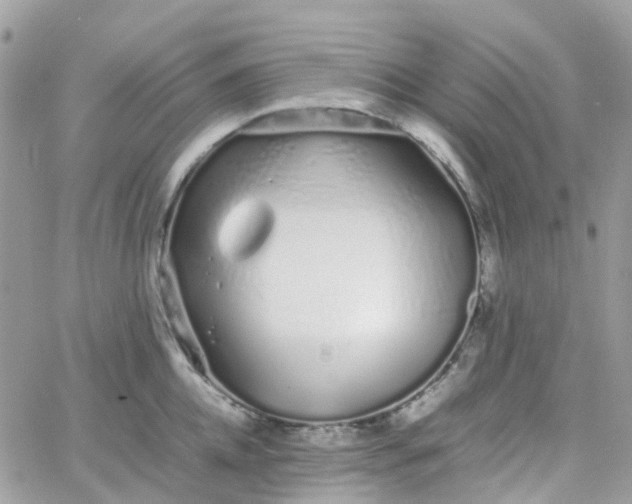 X0000066080952200603241428