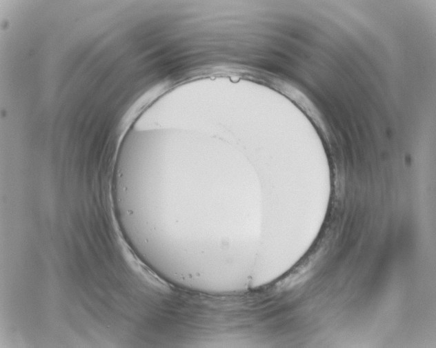 X0000066080954200603241428