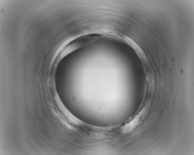 X0000066080956200603241428