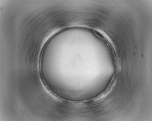 X0000066080957200603241428