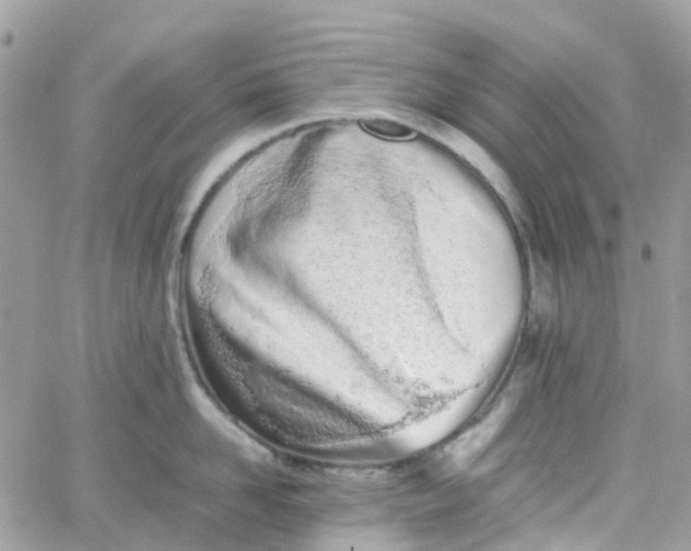 X0000066080958200603241428