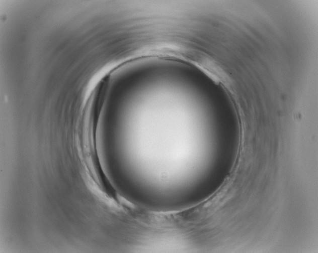 X0000066080960200603241428