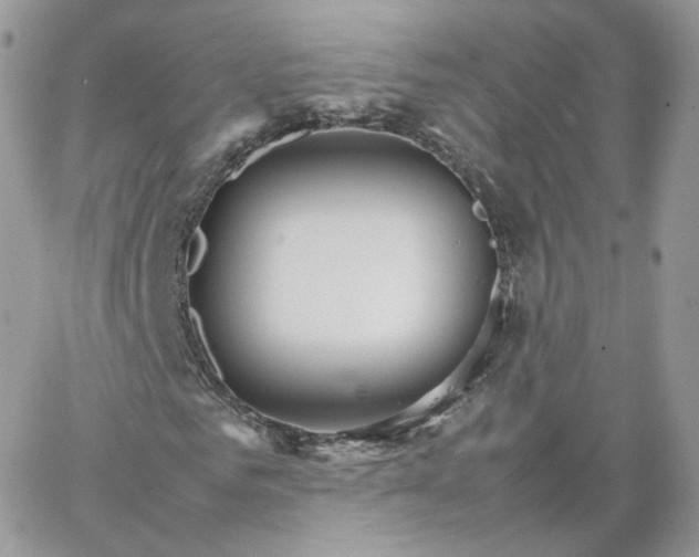 X0000066080961200603241428