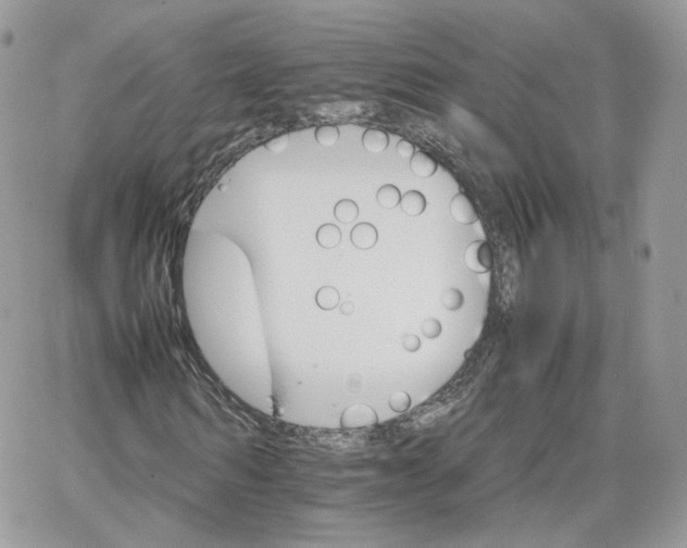 X0000066080962200603241428