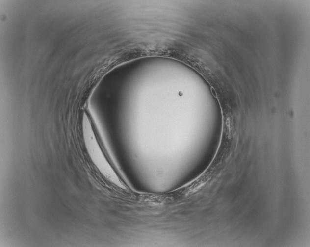 X0000066080963200603241428