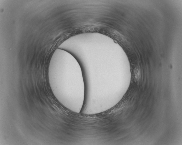 X0000066080964200603241428