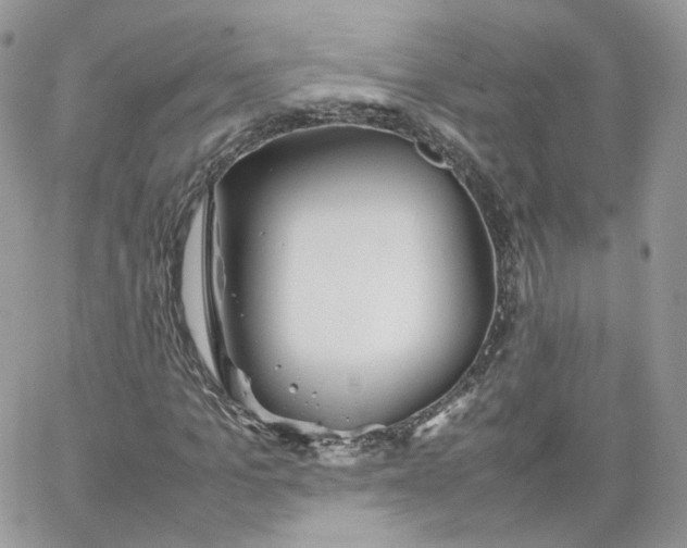 X0000066080965200603241428