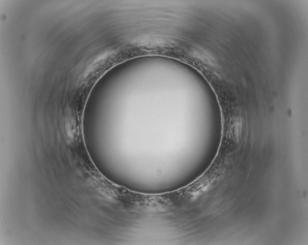 X0000066080966200603241428