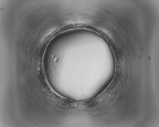 X0000066080967200603241428