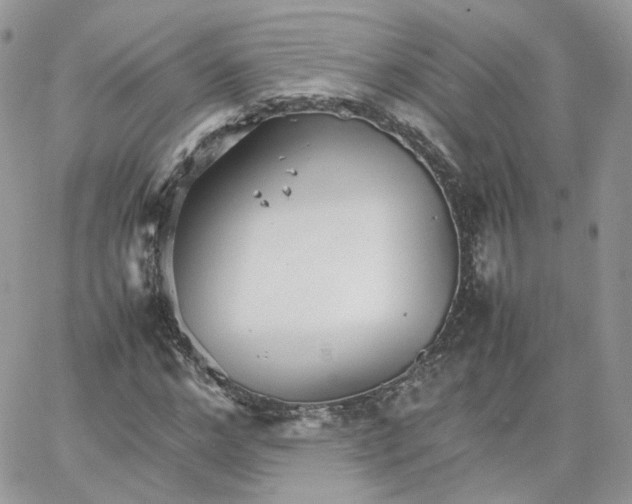 X0000066080968200603241428