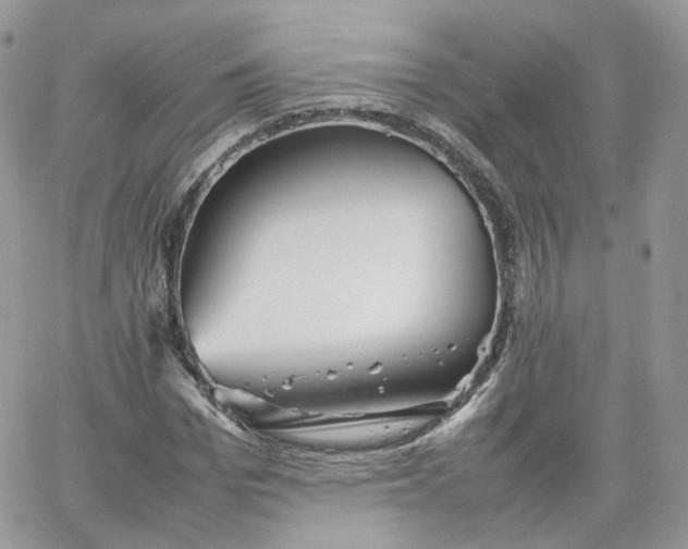 X0000066080969200603241428