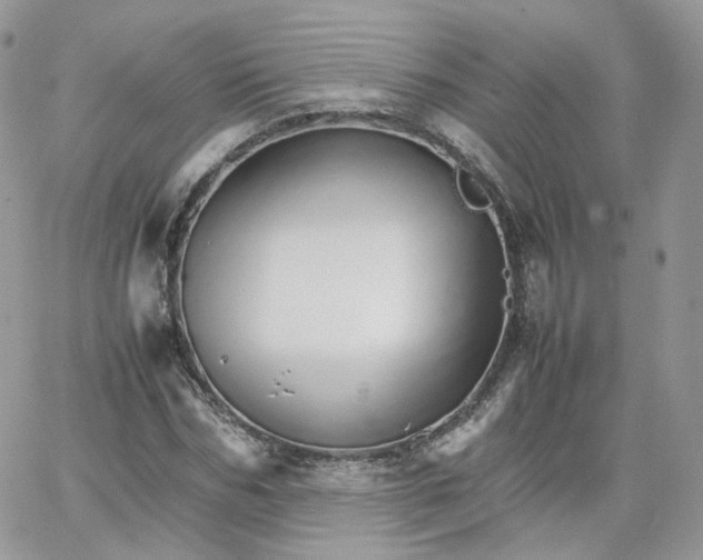 X0000066080970200603241428