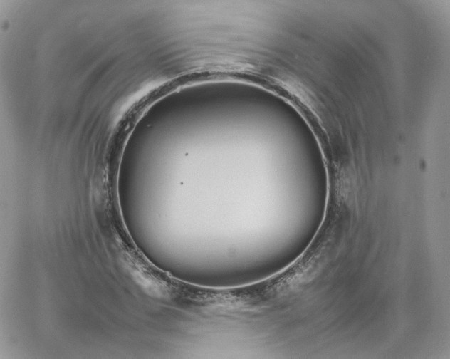 X0000066080971200603241427