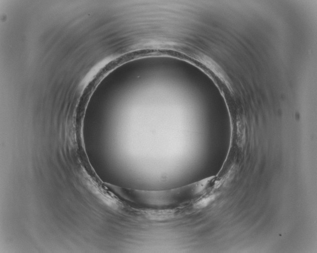 X0000066080972200603241427