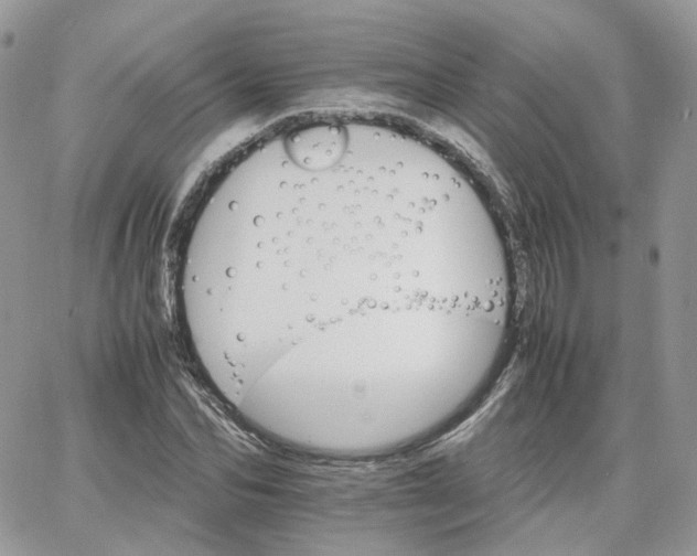 X0000066080974200603241427