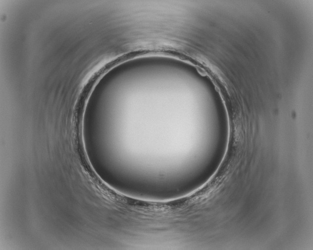 X0000066080975200603241427