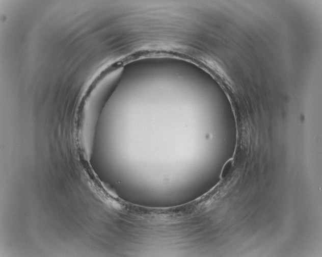 X0000066080976200603241427