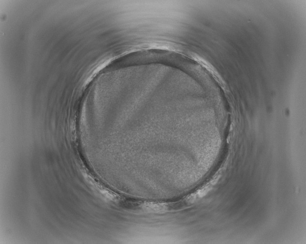 X0000066080977200603241427