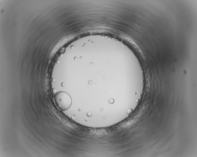 X0000066080978200603241427