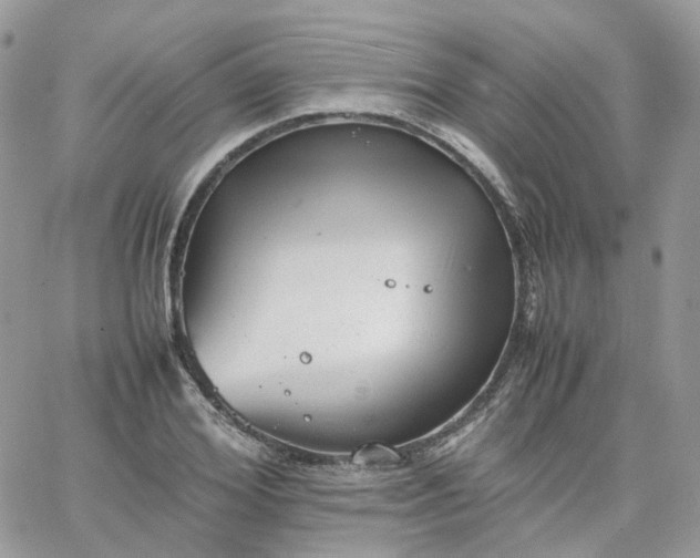 X0000066080980200603241427