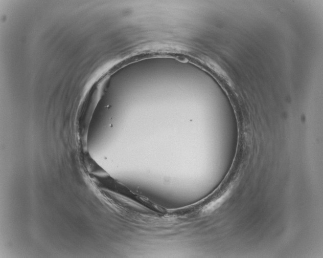 X0000066080981200603241427