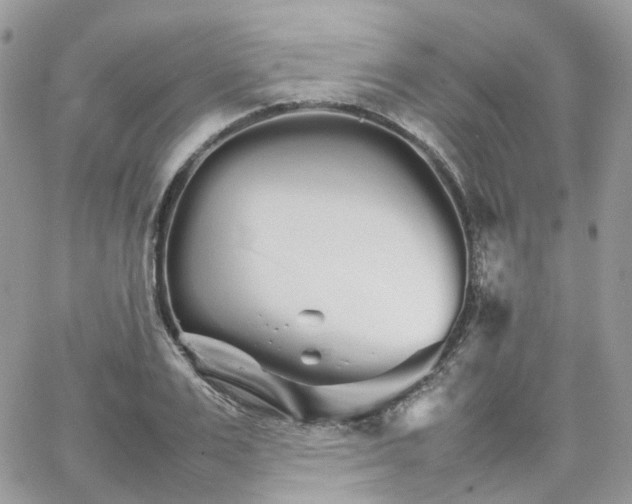 X0000066080983200603241427