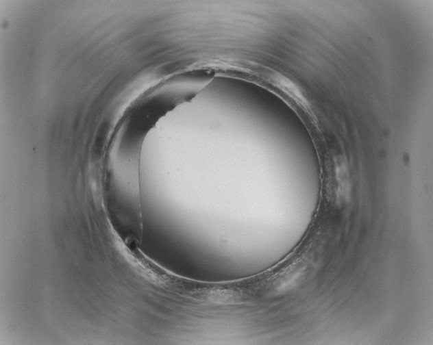 X0000066080984200603241427