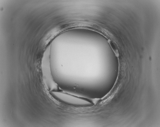 X0000066080985200603241427