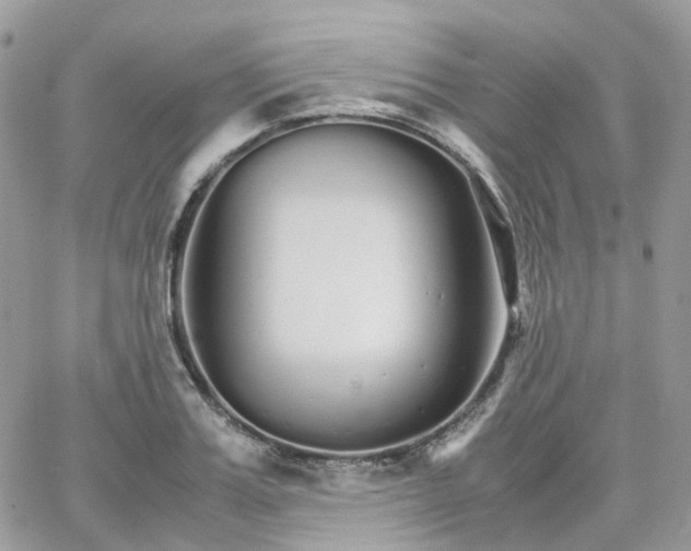 X0000066080987200603241427