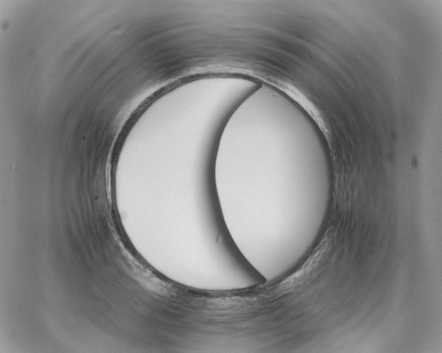 X0000066080988200603241427