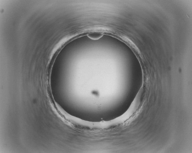 X0000066080989200603241427