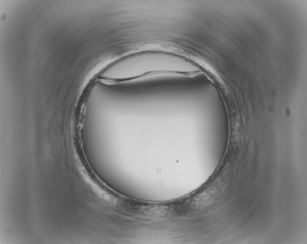 X0000066080991200603241427