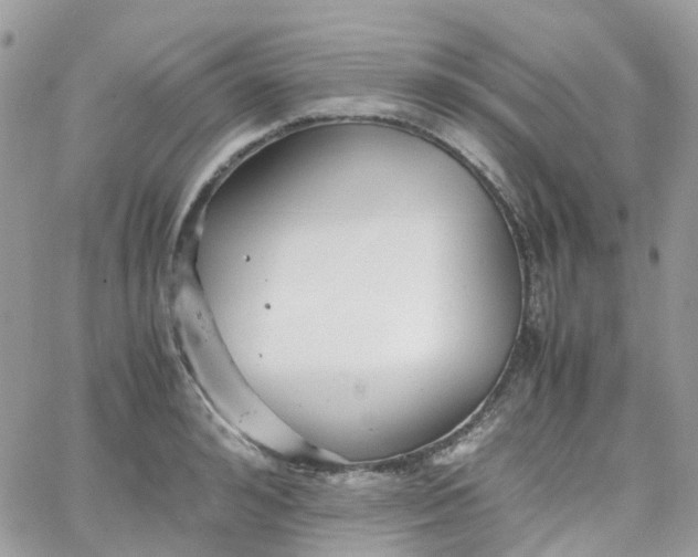 X0000066080992200603241427