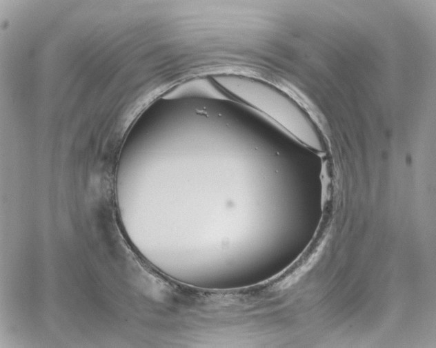 X0000066080993200603241427