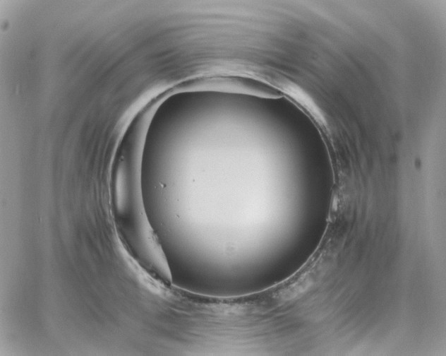 X0000066080996200603241427