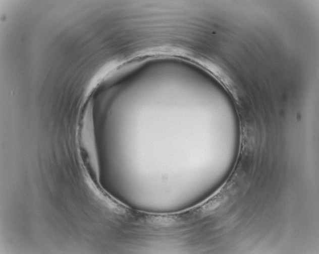 X0000066080998200603241427