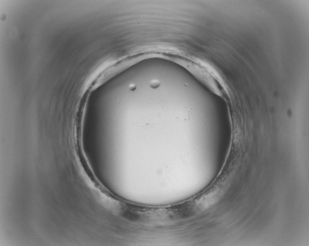 X0000066080999200603241427