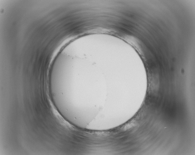 X0000066081000200603241427