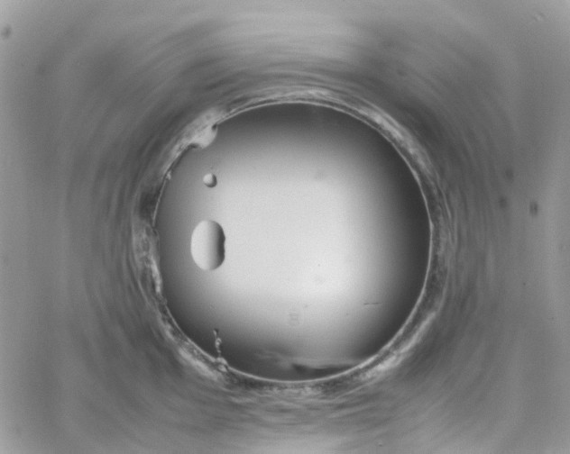 X0000066081001200603241427