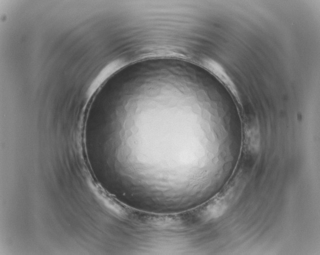 X0000066081002200603241427