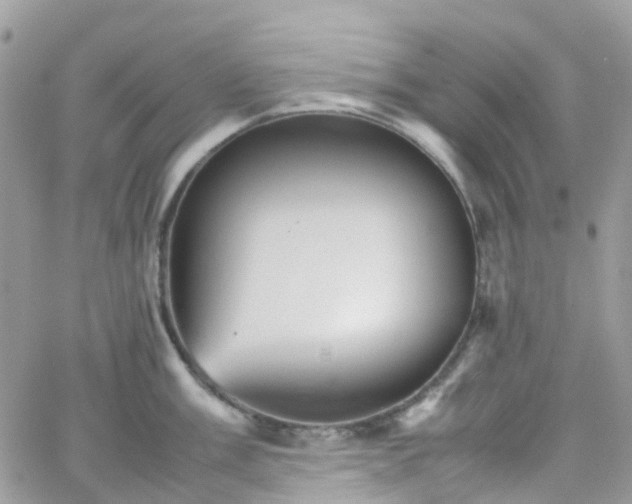 X0000066081003200603241427