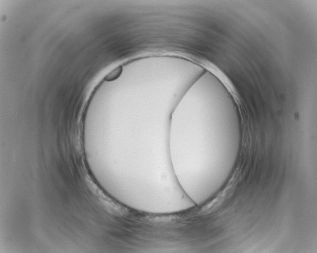 X0000066081004200603241427